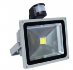 LED Flood light